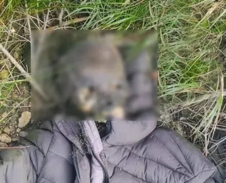 На кордоні з Румунією знову знайшли тіло людини