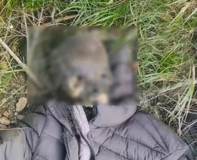 На границе с Румынией снова нашли тело человека