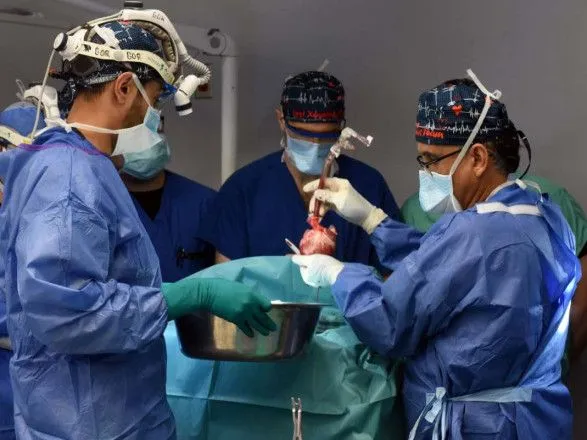 У США хірурги успішно провели трансплантацію серця від свині до людини