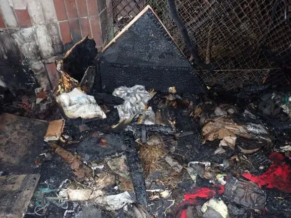 Пожежа в притулку для котів у Києві: поліція відкрила кримінальне провадження
