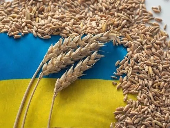 Українське зерно суттєво не впливає на ціни в сусідніх державах – Шмигаль