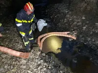 Прорив нафтопроводу на Прикарпатті: в ОВА повідомили, що постраждалі діти у тяжкому стані