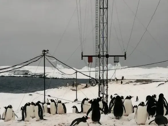 Украинскую метеостанцию в Антарктике "оккупировали" пингвины