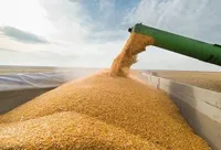 У Румунії заявили, що дозволять імпортувати українське зерно за урядовою ліцензією