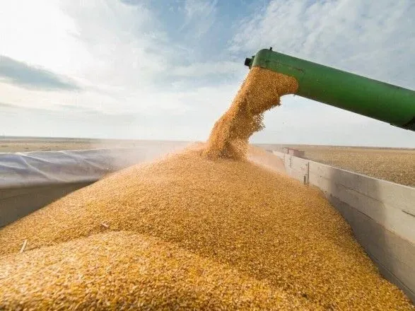 Експорт зерна цього жовтня на 55% менший за торішній