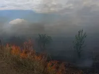 З моменту повномаштабного вторгення зафіксовано 2,5 тисячі фактів шкоди довкіллю ворогом – Свириденко