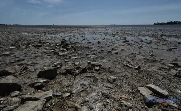 ni-pusteli-ni-nastupu-roslin-chuzhintsiv-naukovtsi-vivchayut-vidnovlennya-roslinnosti-na-dni-kolishnogo-kakhovskogo-morya