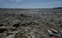 Ні пустелі, ні наступу рослин-чужинців: науковці вивчають відновлення рослинності на дні колишнього Каховського моря