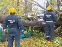 Ураган в Киеве: число пострадавших возросло, порывами ветра поврежден самый большой флаг Украины