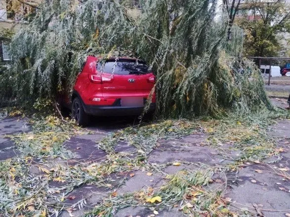 Смертельный ураган в Киеве: погибли мужчины в возрасте 65 и 35 лет, еще семь человек травмированы