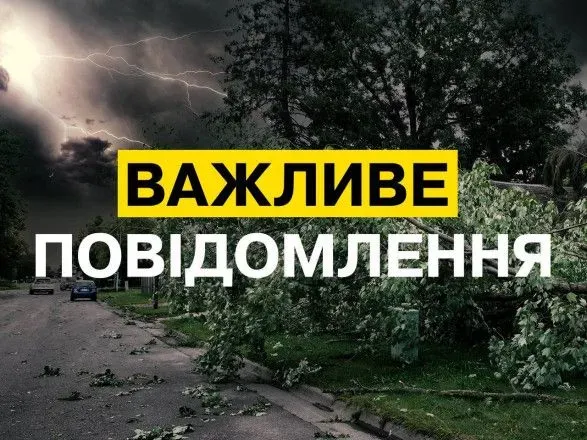 Непогода в Украине: энергетики переведены в усиленный режим в Киевской и Донецкой областях