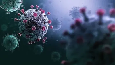 На Ровенщине зарегистрировали новый штамм коронавируса "Пирола" - Минздрав