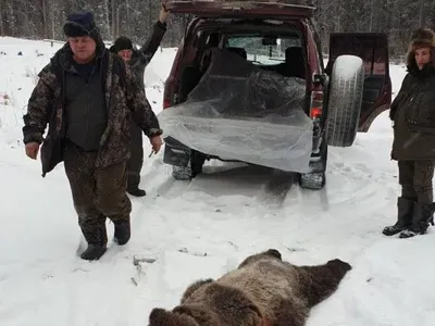 В Якутии двух россиян госпитализировали после нападения медведя