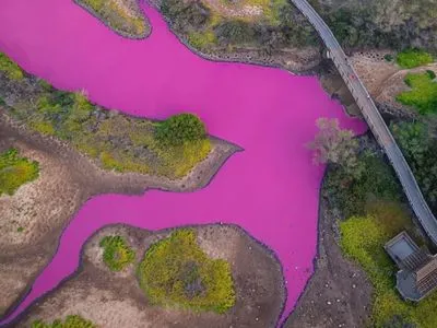 Вода в пруду на Гавайях приобрела шокирующий ярко розовый цветовой оттенок