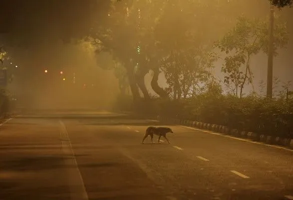 Токсичний смог охопив Нью-Делі: столиця Індії знову найбрудніше місто в світі