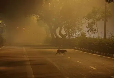 Токсичный смог охватил Нью-Дели: столица Индии снова самый грязный город в мире