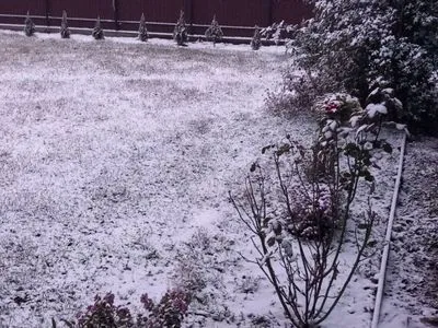На заході України випав перший сніг