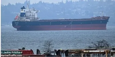 Сухогруз Georgia S мог наткнуться на морскую мину у берегов Украины - Reuters