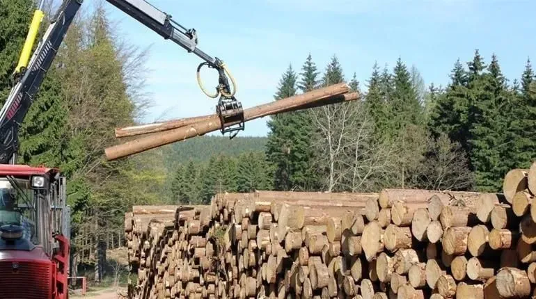 У країні достатньо дров для проходження зими, а люди скоро зможуть отримати додаткові кошти для їх придбання – міністр захисту довкілля