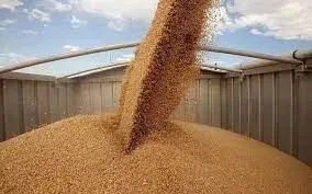 the-ministry-of-foreign-affairs-of-ukraine-reported-that-a-ship-for-nigeria-will-be-loaded-with-grain-in-a-few-days
