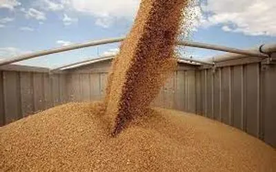 The Ministry of Foreign Affairs of Ukraine reported that a ship for Nigeria will be loaded with grain in a few days