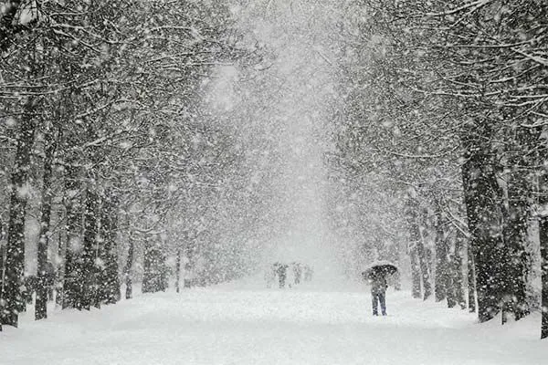 difficult-weather-with-snow-and-strong-winds-is-expected-across-ukraine-on-sunday