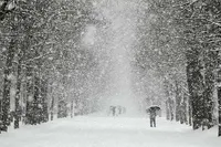 У неділю по всій Україні очікується складна погода зі снігом та сильним вітром