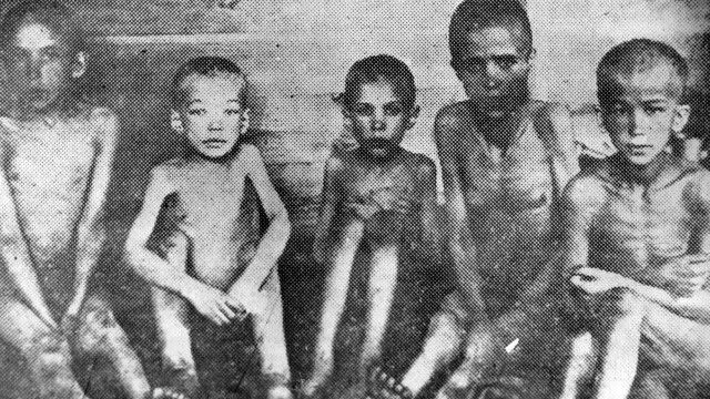 Genocide of the Ukrainian people: MIA publishes unique criminal cases on cannibalism in 1932-1933