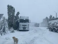 Due to bad weather, the Border Guard Service of Moldova has warned of disruptions at checkpoints