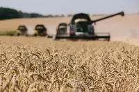 За кілька днів росія почне возити безкоштовне зерно в Африку, щоб зміцнити вплив на континенті, – Bloomberg
