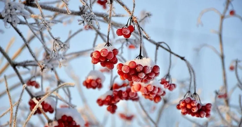 Декабрь будет теплее нормы, в начале месяца снег сохранится на Западе и в Карпатах - представитель Укргидрометцентра