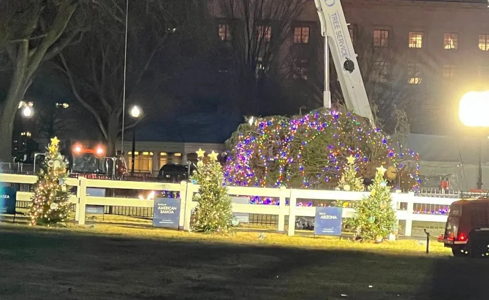 Сильный ветер опрокинул национальную рождественскую елку возле Белого дома в Вашингтоне
