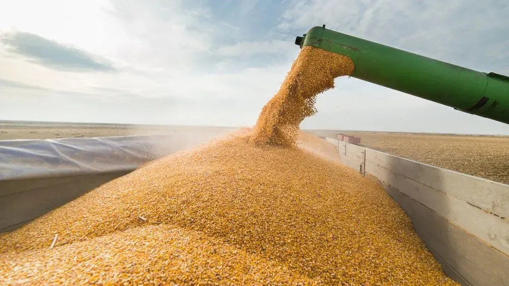 Occupants continue to export Ukrainian grain from the ports of the temporarily occupied Crimea - CNS
