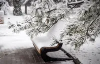 After St. Nicholas, snow will return to Ukraine