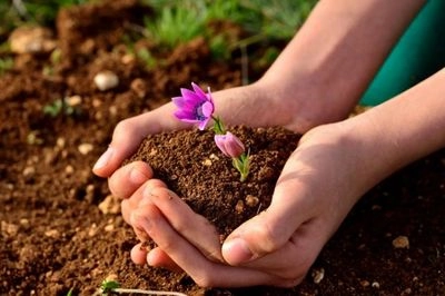 5 грудня: Всесвітній день ґрунтів, Міжнародний день волонтерів в ім’я економічного та соціального розвитку