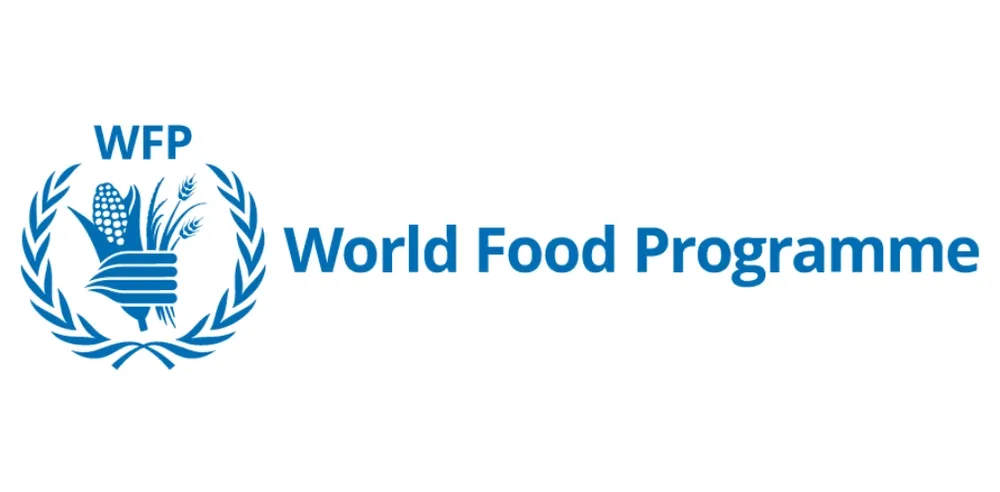 UN World Food Program suspends work in northern Yemen