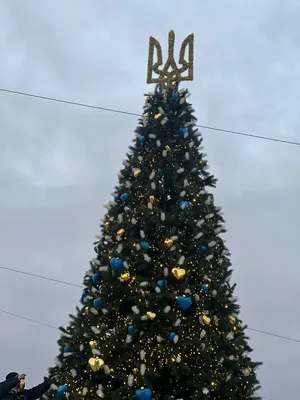 The opening of the country's main Christmas tree is scheduled for today