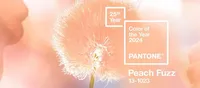 Pantone has named the main color of 2024