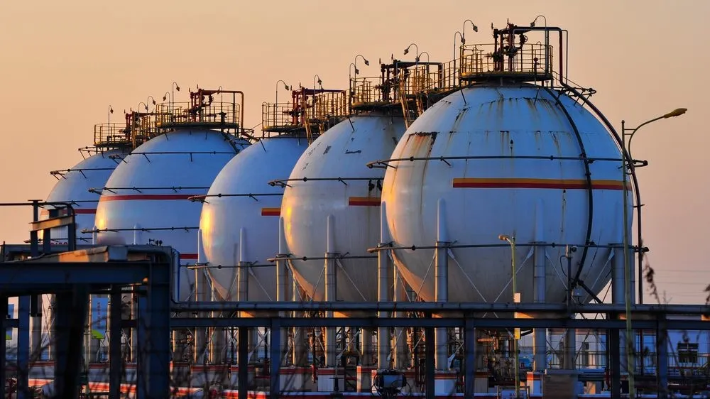 FT: ЕС предоставит странам-членам полномочия блокировать импорт российского газа
