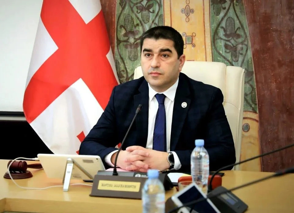 Территория Грузии не используется для обхода санкций, введенных ЕС против России - спикер парламента Грузии 