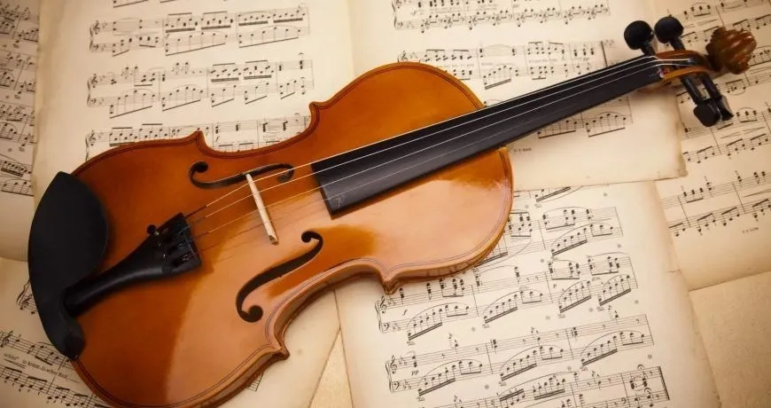 December 13 International Violin Day Choose a Pathologist Friend