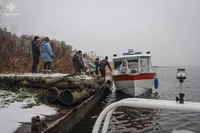 Операция "Мокрые носики": история спасения животных, которые оказались в изоляции на острове Вишняки 
