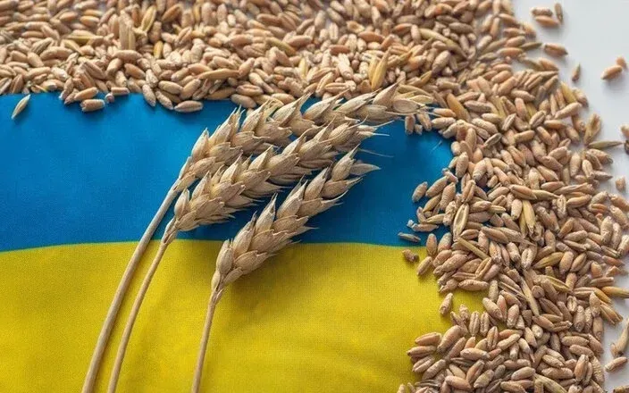 Tusk's government supports embargo on Ukrainian grain