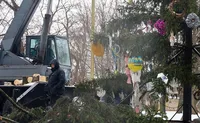 В Переяславе ветер повалил главную новогоднюю елку