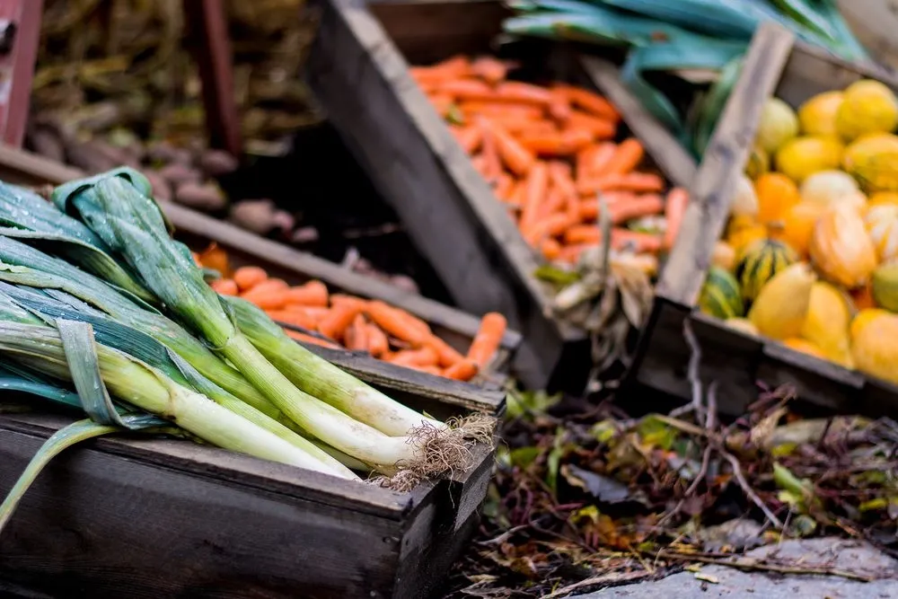 Farmers are ready to supply vegetables and fruits directly to the Ukrainian army. Details on logistics need to be clarified - UPOA