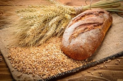 Ukrainian agrarians received a historic maximum harvest