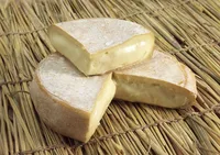 The State Service of Ukraine for Food Safety and Consumer Protection did not import dangerous cheese with staphylococcus from France to Ukraine