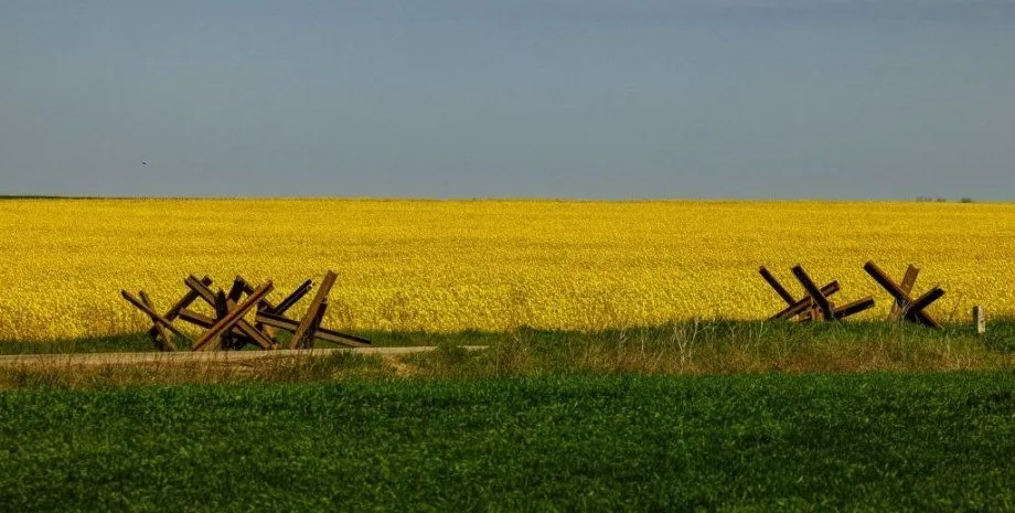 росіяни зібрали кілька мільйонів тонн зерна на окупованих територіях України