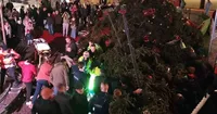 A woman dies and two other people are injured as a result of a Christmas tree fall in Belgium