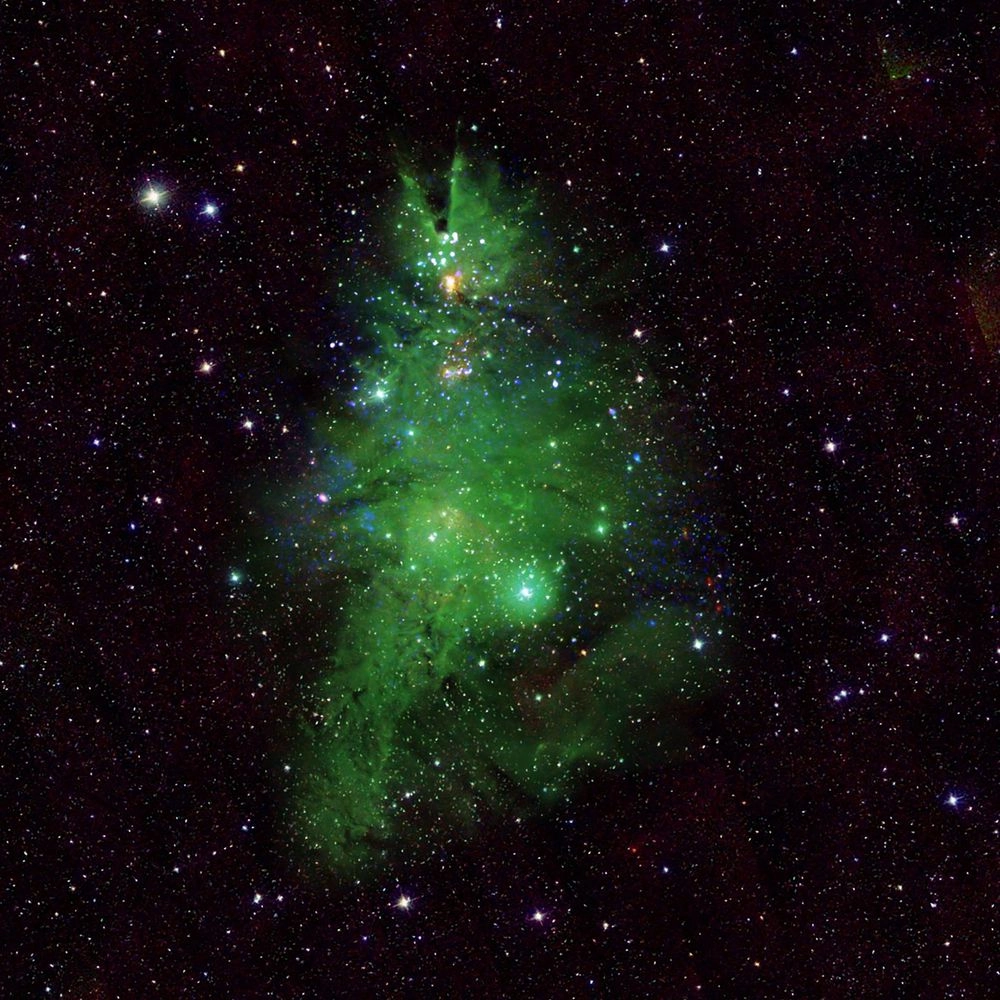 NASA поділилося фотографією зоряного скупчення, схожого на різдвяну ялинку